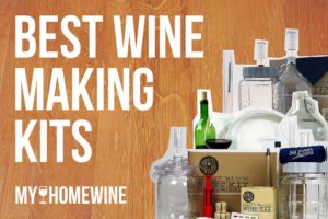best wine making kits