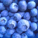 homemade blueberry wine recipe