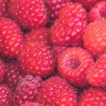 homemade raspberry wine recipe