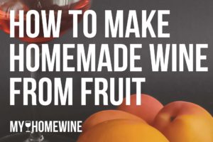 how to make homemade wine from fruit
